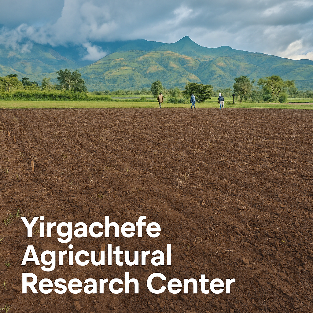 Yirgachefe Agricultural Research Center